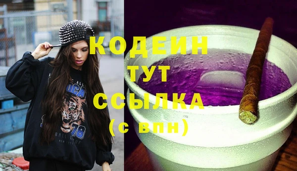 бошки Бородино