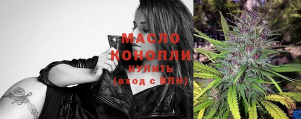 бошки Бородино