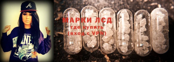 бошки Бородино
