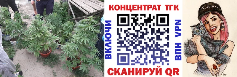 купить закладку  Гусев  Дистиллят ТГК Wax 