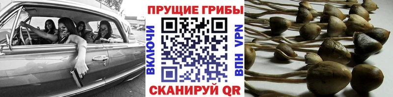 МЕГА рабочий сайт  Гусев  Галлюциногенные грибы GOLDEN TEACHER  наркота 
